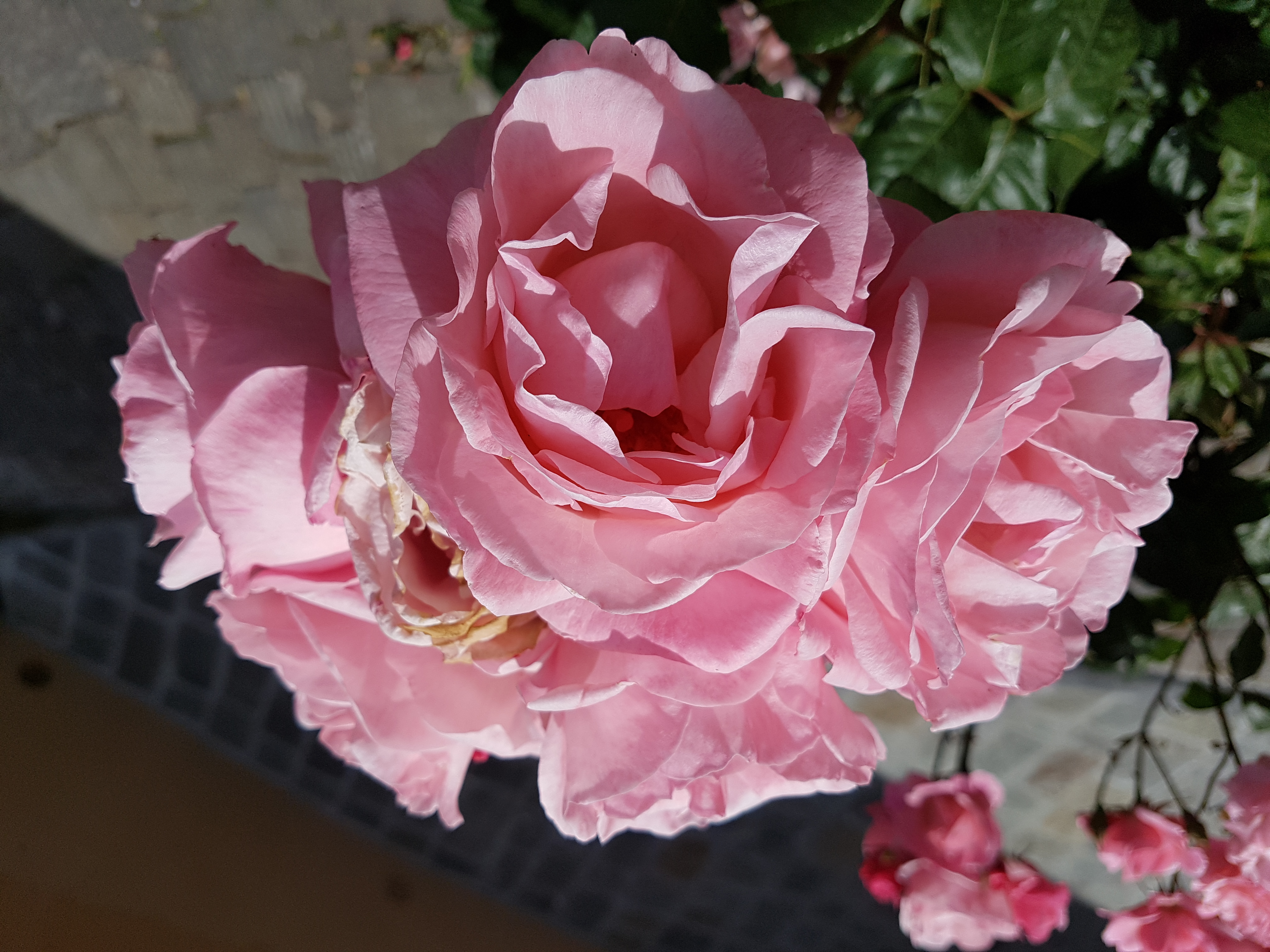 2015-04-10_190211